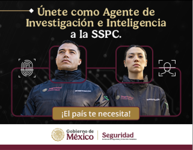  Titulo
